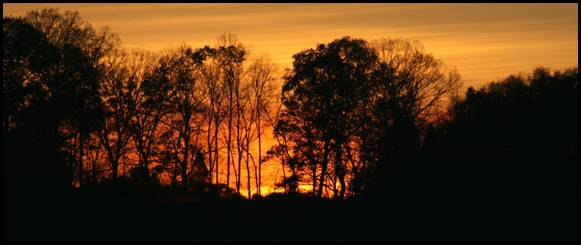 clip_image002