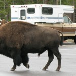 Parking issues